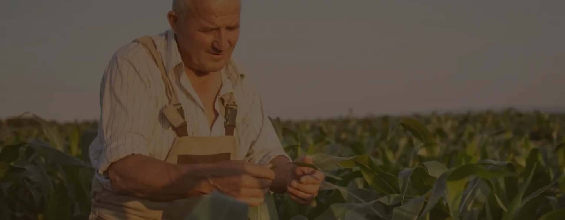 Vídeo sobre o conteúdo