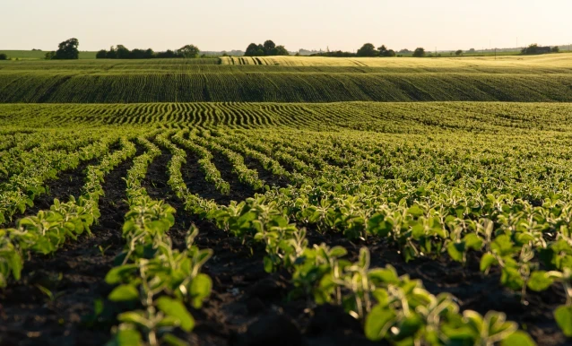 Tecnologia revolucionando a produ&ccedil;&atilde;o agr&iacute;cola