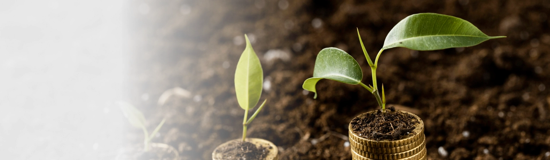 Demonstra&ccedil;&otilde;es&nbsp;Financeiras