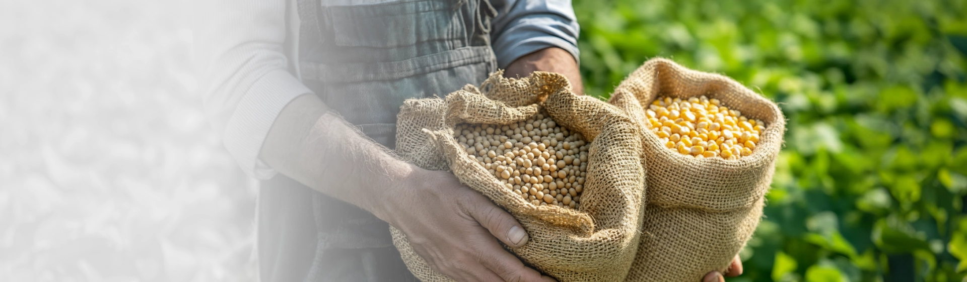 Pague com&nbsp;Gr&atilde;os