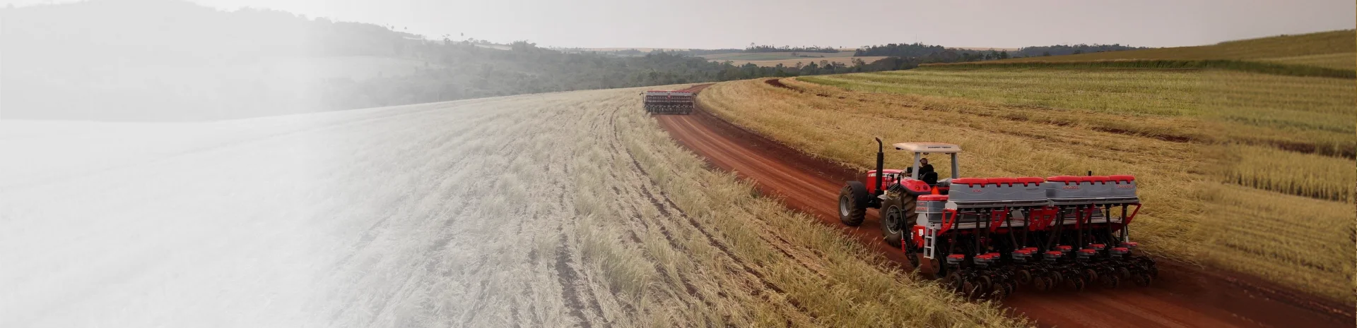 Plantadeiras&nbsp;De Gr&atilde;os de Ver&atilde;o para M&eacute;diasPropriedades